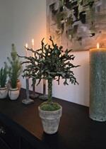 Blomsterkunst af naturens egne materialer