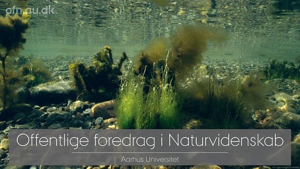 Havets Kollaps og vejen tilbage